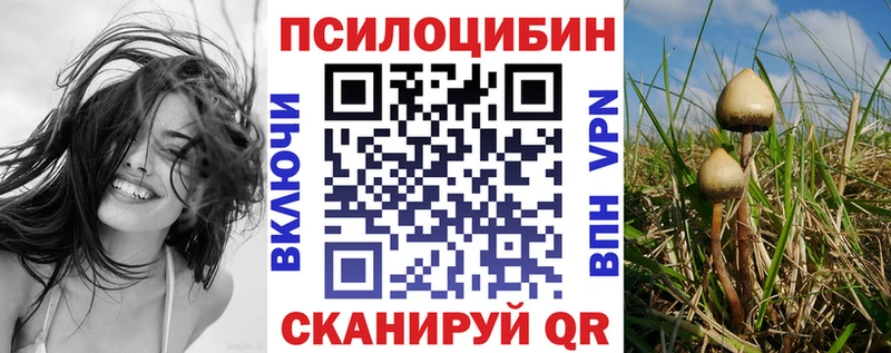 Купить  Бобров  Псилоцибиновые грибы MAGIC MUSHROOMS 